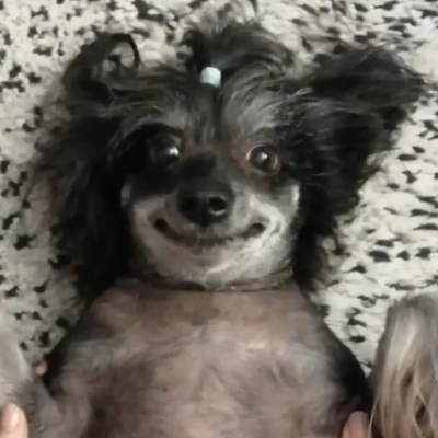 Яна Сологуб