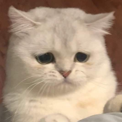 qwentixs