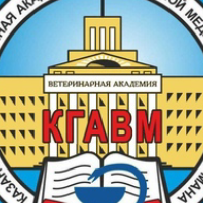 Казанская ГАВМ им. Баумана