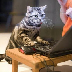 К С