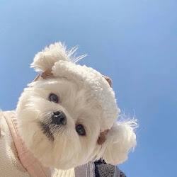 家有萌妹