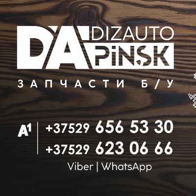 DizAutoPinsk