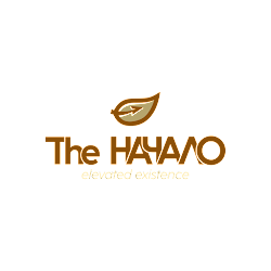 The Начало