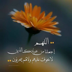 جمع حق سيارات احلامي