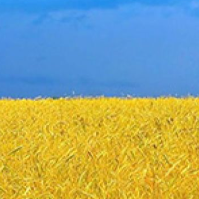 ВЫЕЗД ЗА ГРАНИЦУ УКРАИНЫ