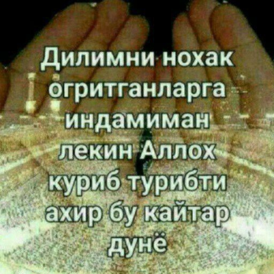 Dilshoda X