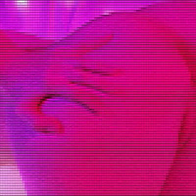 Night Kate