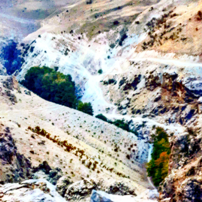 کامران قاسمی