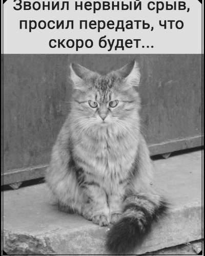 Роман Рысь