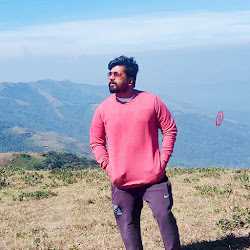 Praveen T