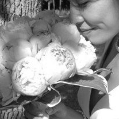 Your Day Photography