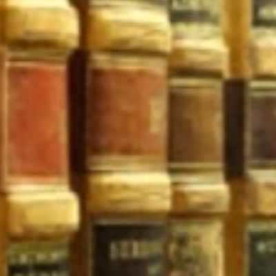 Law Office of Mark D. Foster