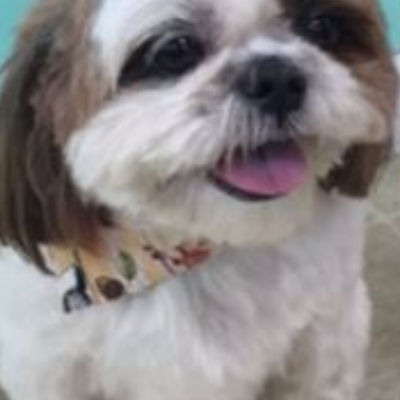 Grooming By Jessie