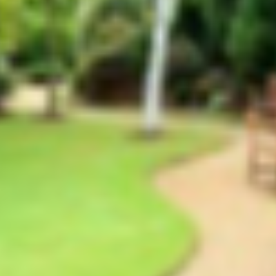 Polk Lawn