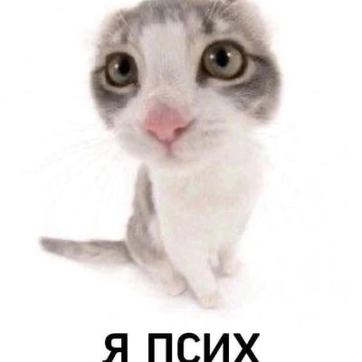 Wichu