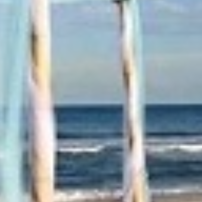 East Coast Sport Rentals