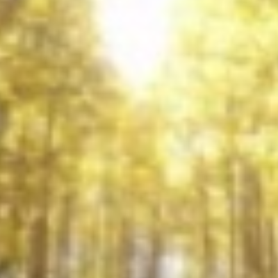 Cutting Edge Tree Care, LLC