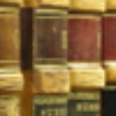The Law Office of Savio D. Figaro, LLC