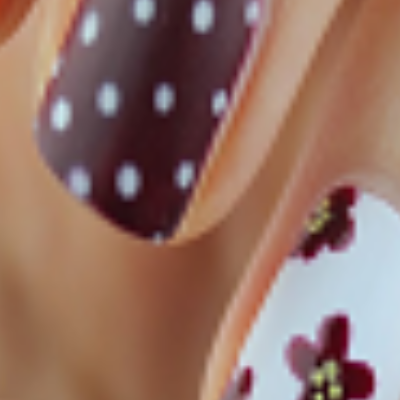 Lotus Salon