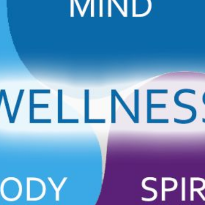 The Wellness Shoppe