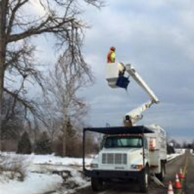Edwards Tree & Land Clearing Services Inc