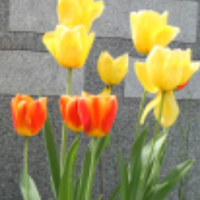 Conner-Bowman Funeral Home & Crematory