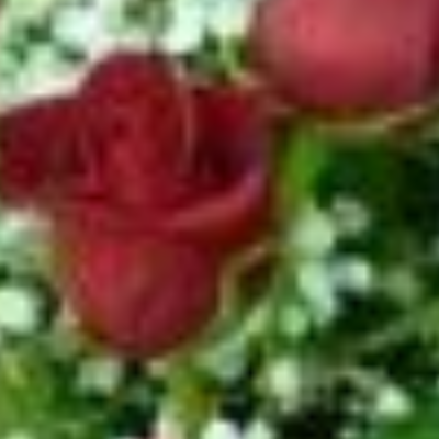 National Floral Design