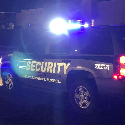 T.R.I.B.E. Security Service LLC
