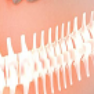 Wallace Chiropractic