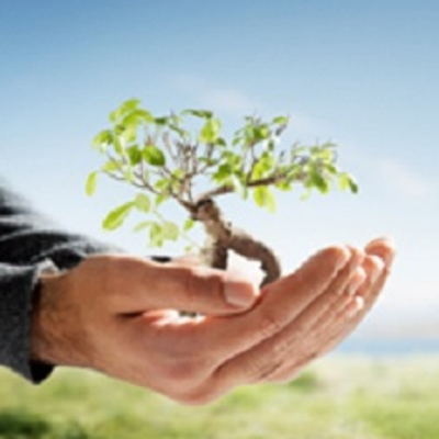 Ken Lamb Tree Service, LLC