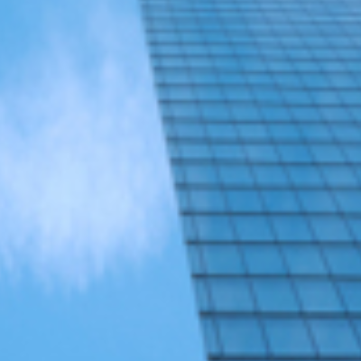 Global Tax Group, Inc. - Michael S. Sarabjit, CPA, MST