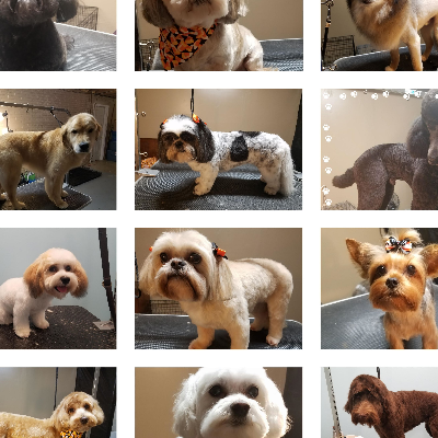Shawnee Hills Pet Grooming