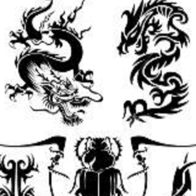 Skin Illustrations