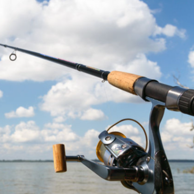 NYharborFishing