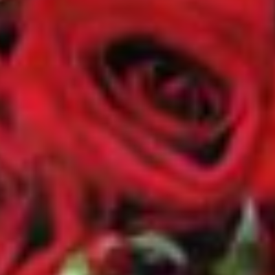 Forth Floral