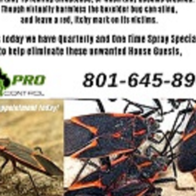 All PRO Pest Control