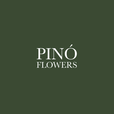 Pino Flowers | Доставка цветов по Москве и МО