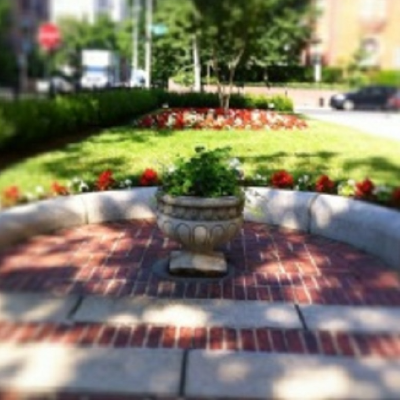 Tenleytown Landscape