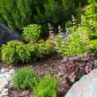 D&D Landscape & Sprinkler Services Inc.