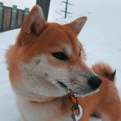 Ксения