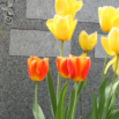 Peck Funeral Homes