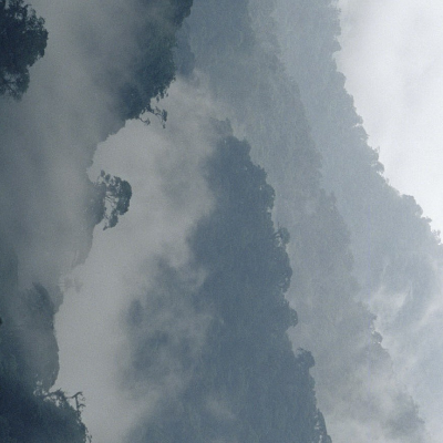 kot