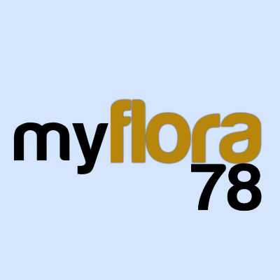 my flora 78