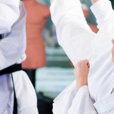 Eight Star Martial Arts, LLC/Red Dragon Karate School