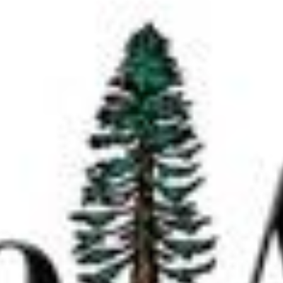 paloalto plumbing
