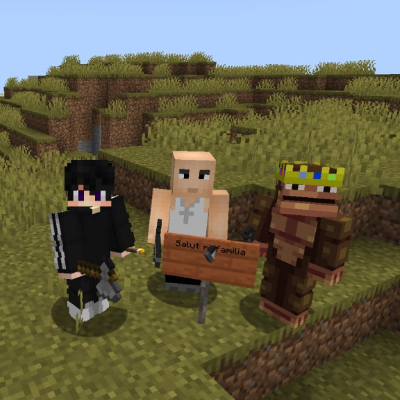 Pro streamers