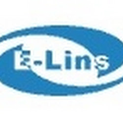 ELins Technology