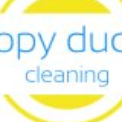 Canopy Duct Fan Cleaning