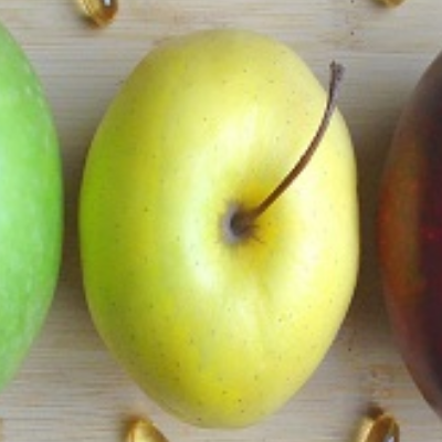 Foods For Health LLC