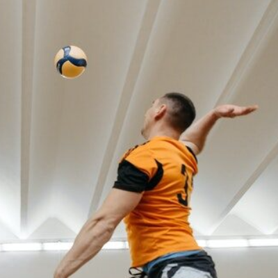 Volleyball Fan